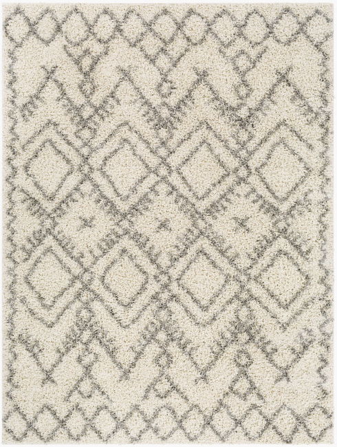 Taza Shag Machine Woven Rug