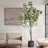 Eden Potted Fig Tree, Decorative by Uttermost, 37" width x 108.25" height x 31.5" depth thumbnail 2