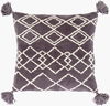 Braith Accent Pillow, Decorative Pillow by Surya, 18" length x 18" width thumbnail