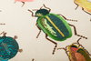 Rifle Paper Co. x Loloi Pillows Pillow, Decorative Pillow, 18" length x 18" width thumbnail 3
