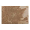 Fawn Framed Painting, by Moe's Home, 48" width x 60" height x 1.77" depth thumbnail 4