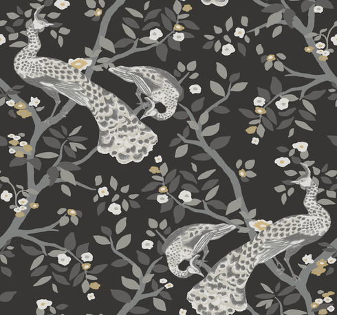 Plume Black & Gold Wallpaper