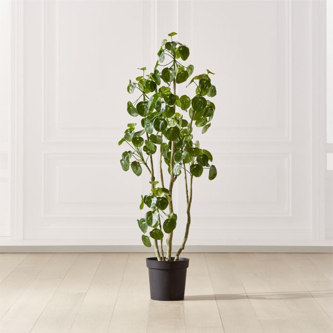 Online Designer Bedroom Potted Coin Tree 5'