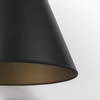 Fenton   Black with Antiqued Gold Accents Pendant Light, by Mercana, 18" length x 18" width x 23" height thumbnail 8