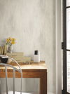 Stucco Finish Warm Grey Wallpaper, by York Wall, 32'9.6" length x 1'8.8" width x 0.02" depth thumbnail 2