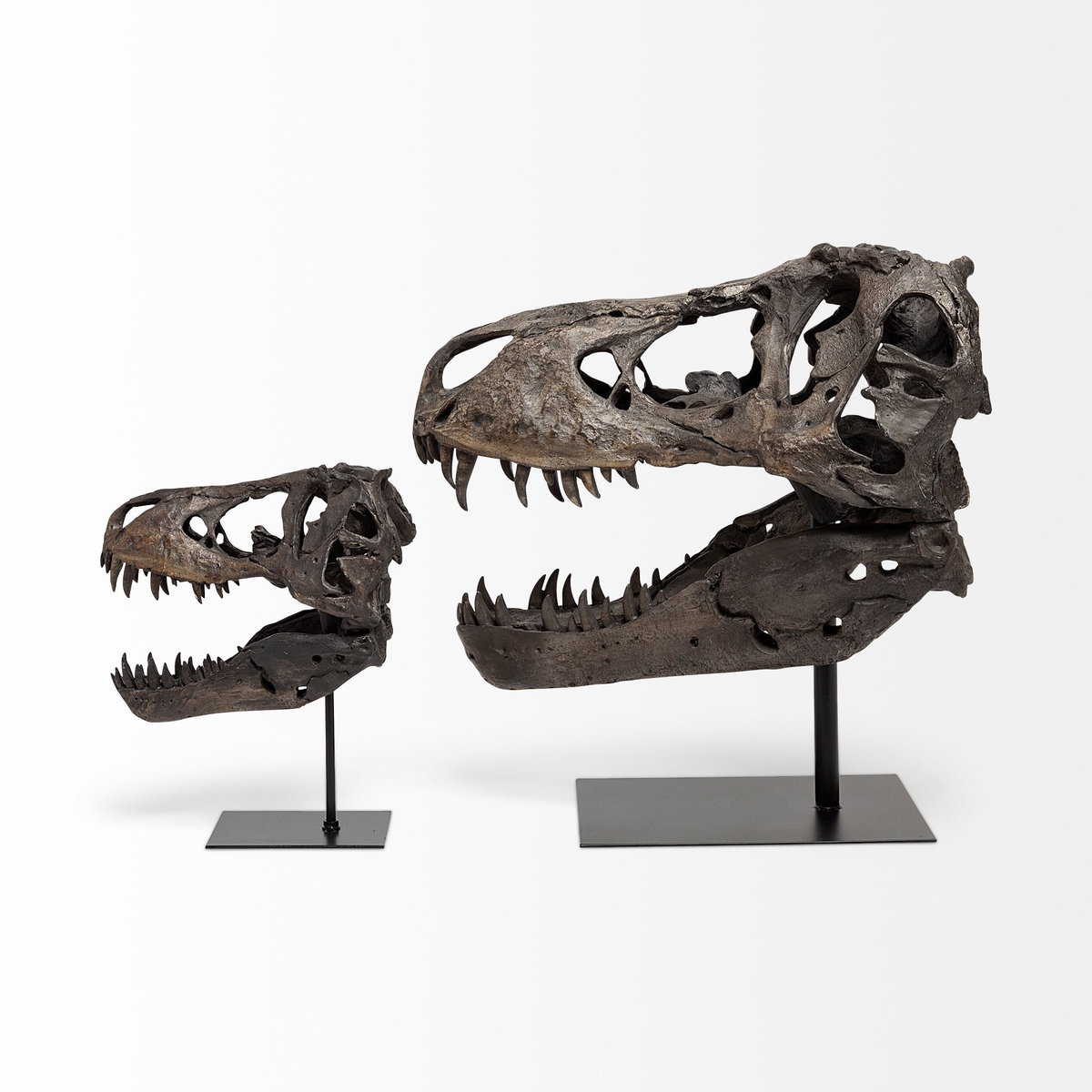 Lagrane 19L x 11W Brown Resin Tyrannosaurus T Rex Dinosaur Skull Replica, Decorative Object by Mercana, 19" length x 11" width x 20" height View 7