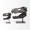 Lagrane 19L x 11W Brown Resin Tyrannosaurus T Rex Dinosaur Skull Replica thumbnail 6