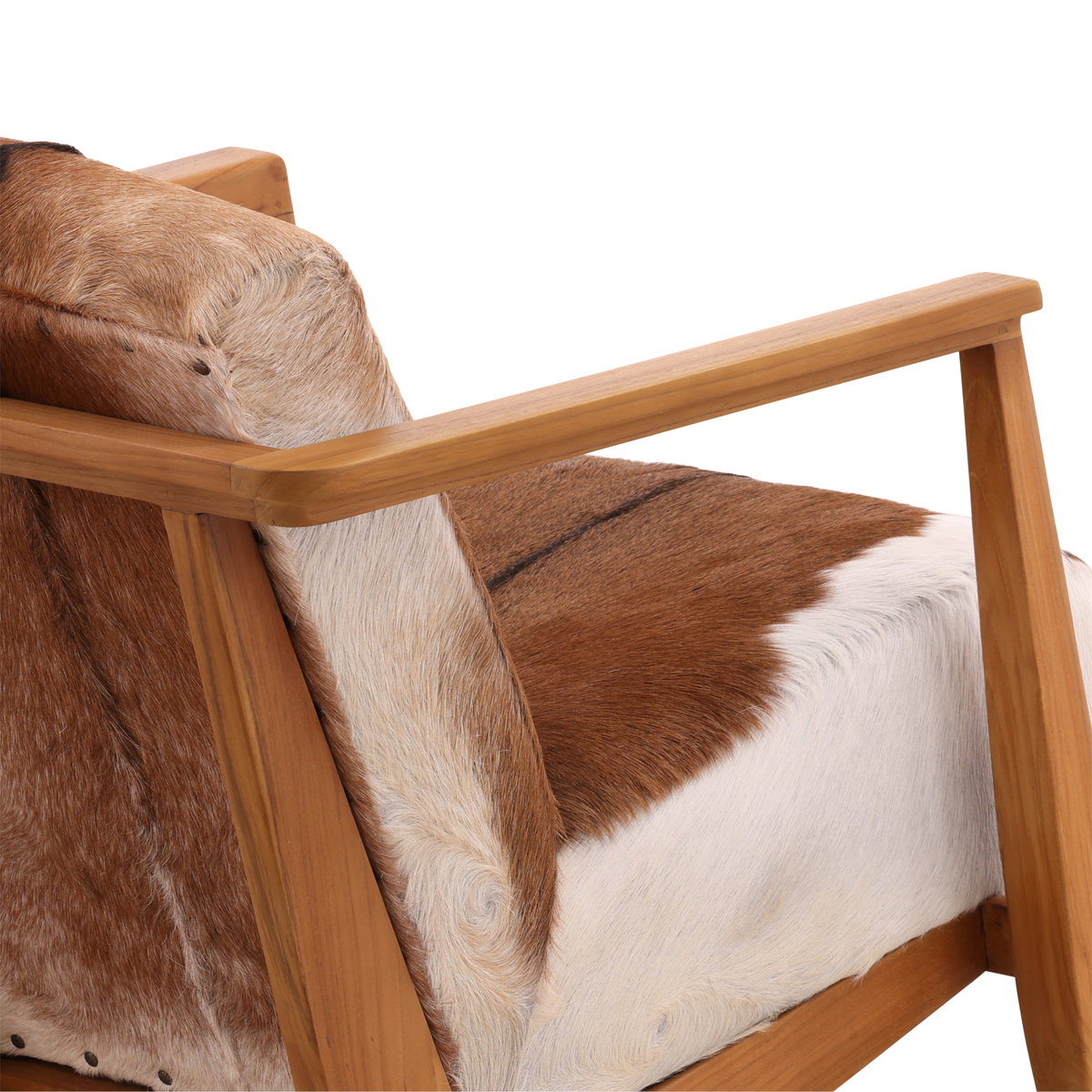 Naela Occasional Chair, Accent Chair by Dovetail, 26.45" width x 29.5" height x 34" depth View 6