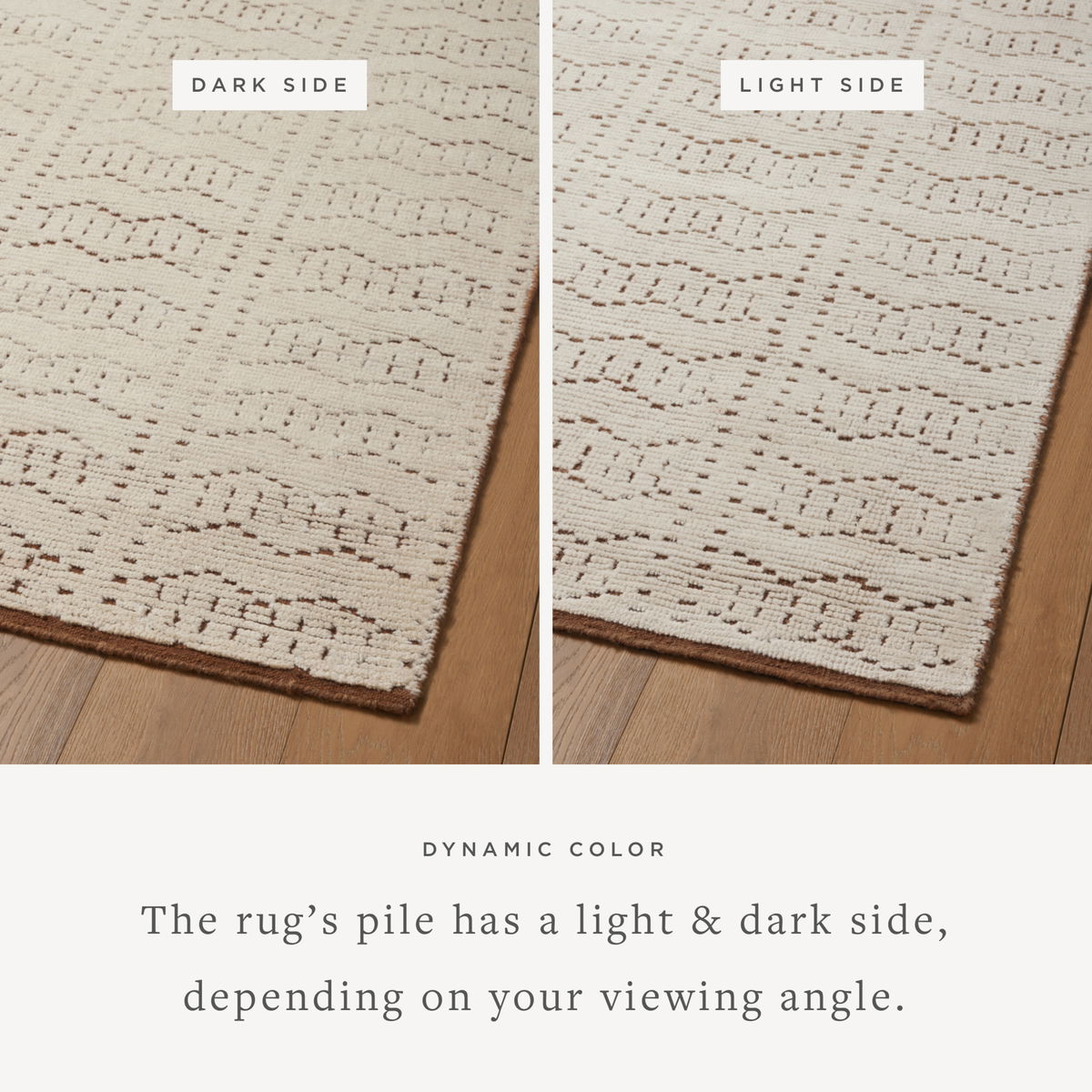 Carrier & Company x Loloi Walker Rug, 2' length x 3' width View 2