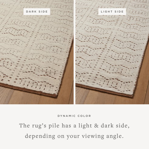 Carrier & Company x Loloi Walker Rug