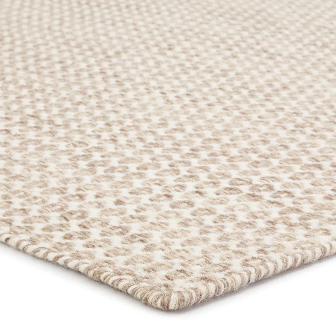 Eladio Handmade Flatweave Wool Beige Area Rug large image 