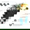 TruDrop Rim Modern Self Watering Planter, by Crescent Garden, 18" width x 18" height x 18" depth thumbnail 7