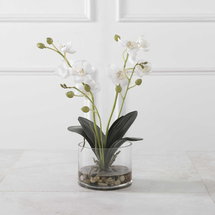Online Designer Bathroom Glory Orchid