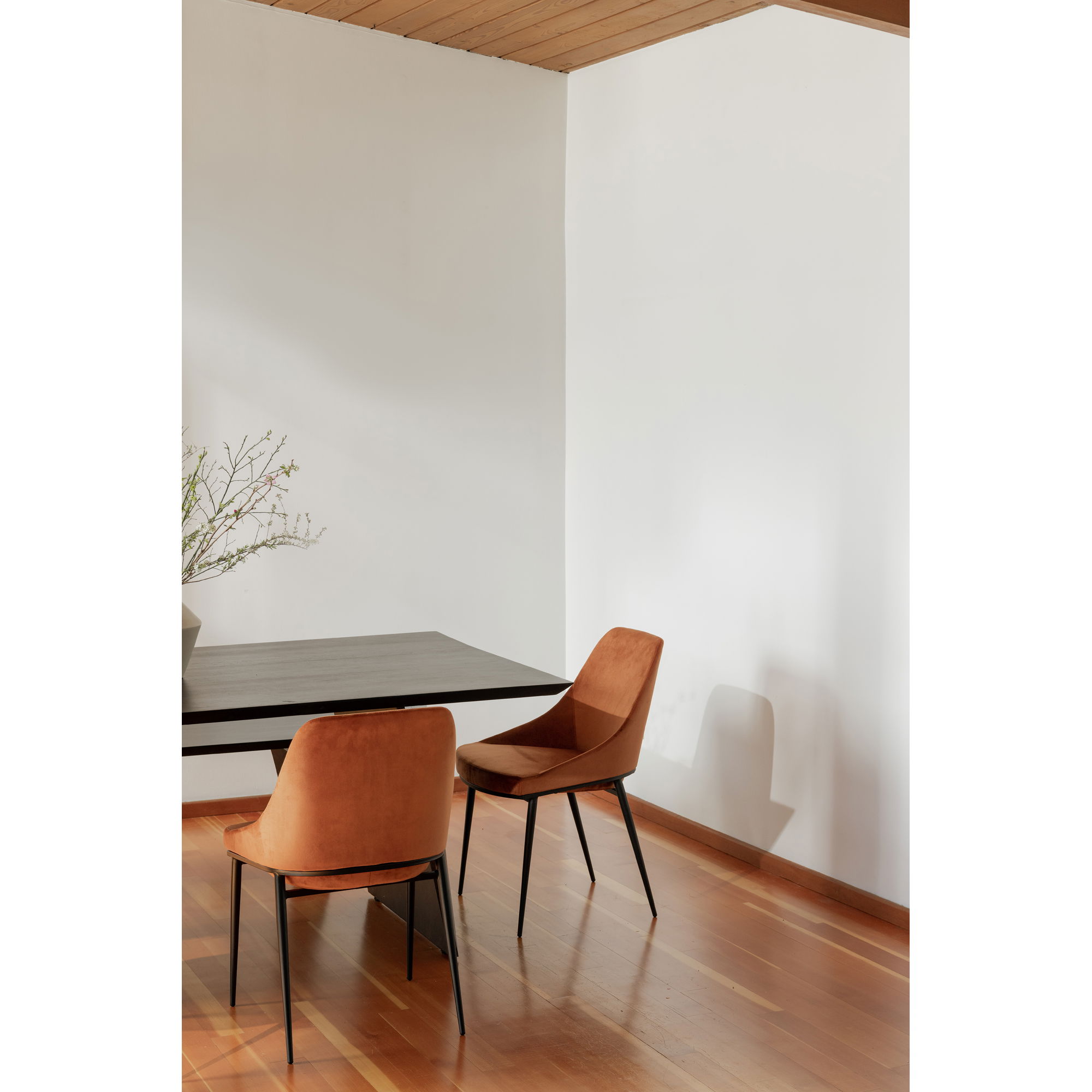 Sedona Dining Chair Amber - Set Of Two large image 