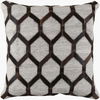 Medora Accent Pillow, Decorative Pillow by Surya, 20" length x 20" width thumbnail