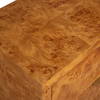 Indus 2 Drawer Burl Chest, Cabinets & Chest by Uttermost, 30" width x 30" height x 17" depth thumbnail 8