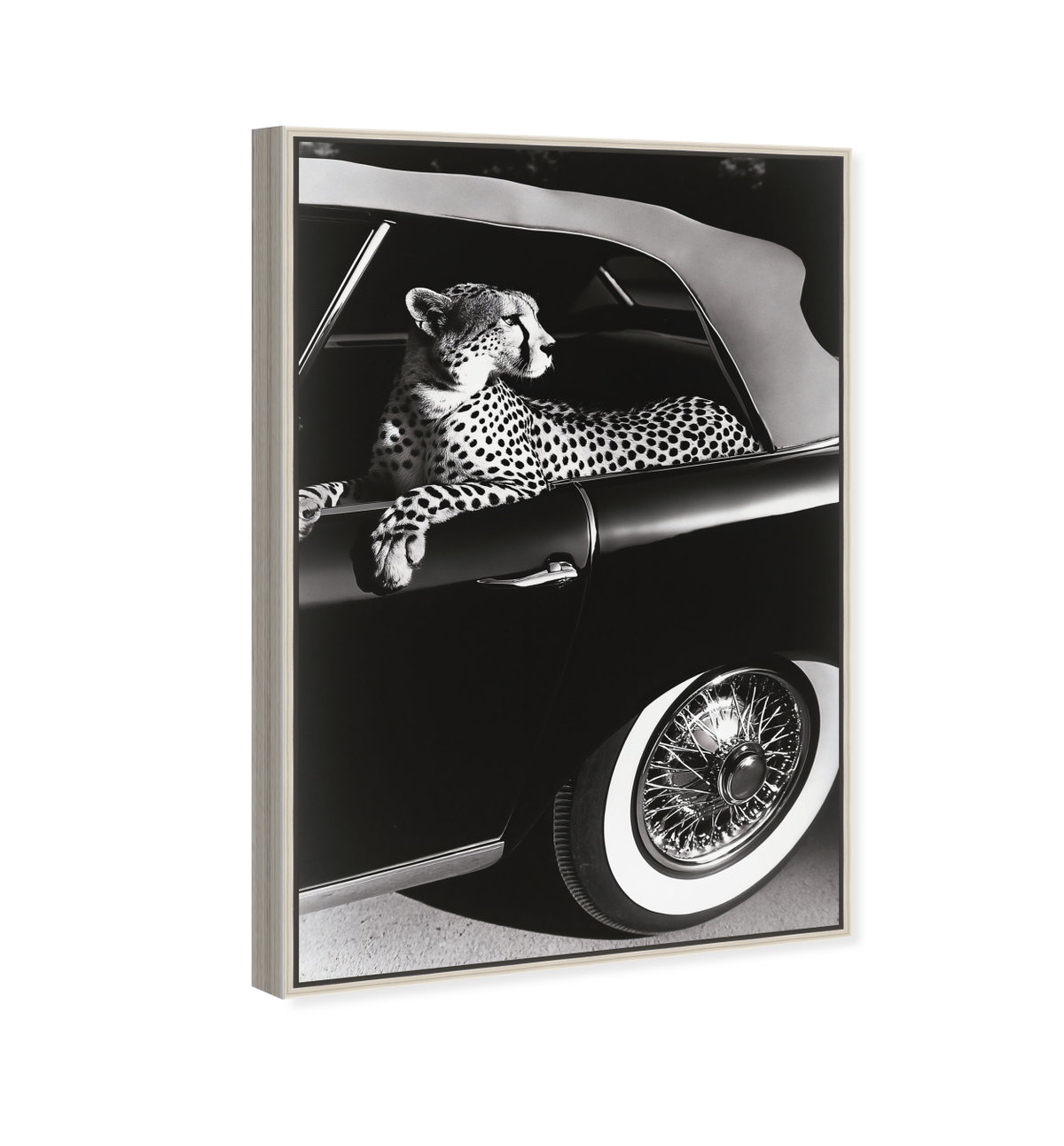 Convertible Feline I (No Embellishment), Art by Oliver Gal,  20x30 View 2