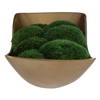 Venice Moss Centerpiece, Artificial Plants & Flower by Uttermost, 20" width x 5" height x 8" depth thumbnail 4