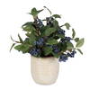 Blueberry Fields Accent, Artificial Plants & Flower by Uttermost, 10" width x 11" height x 10" depth thumbnail 1