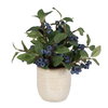 Blueberry Fields Accent, Artificial Plants & Flower by Uttermost, 10" width x 11" height x 10" depth thumbnail 1