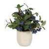 Blueberry Fields Accent thumbnail 0