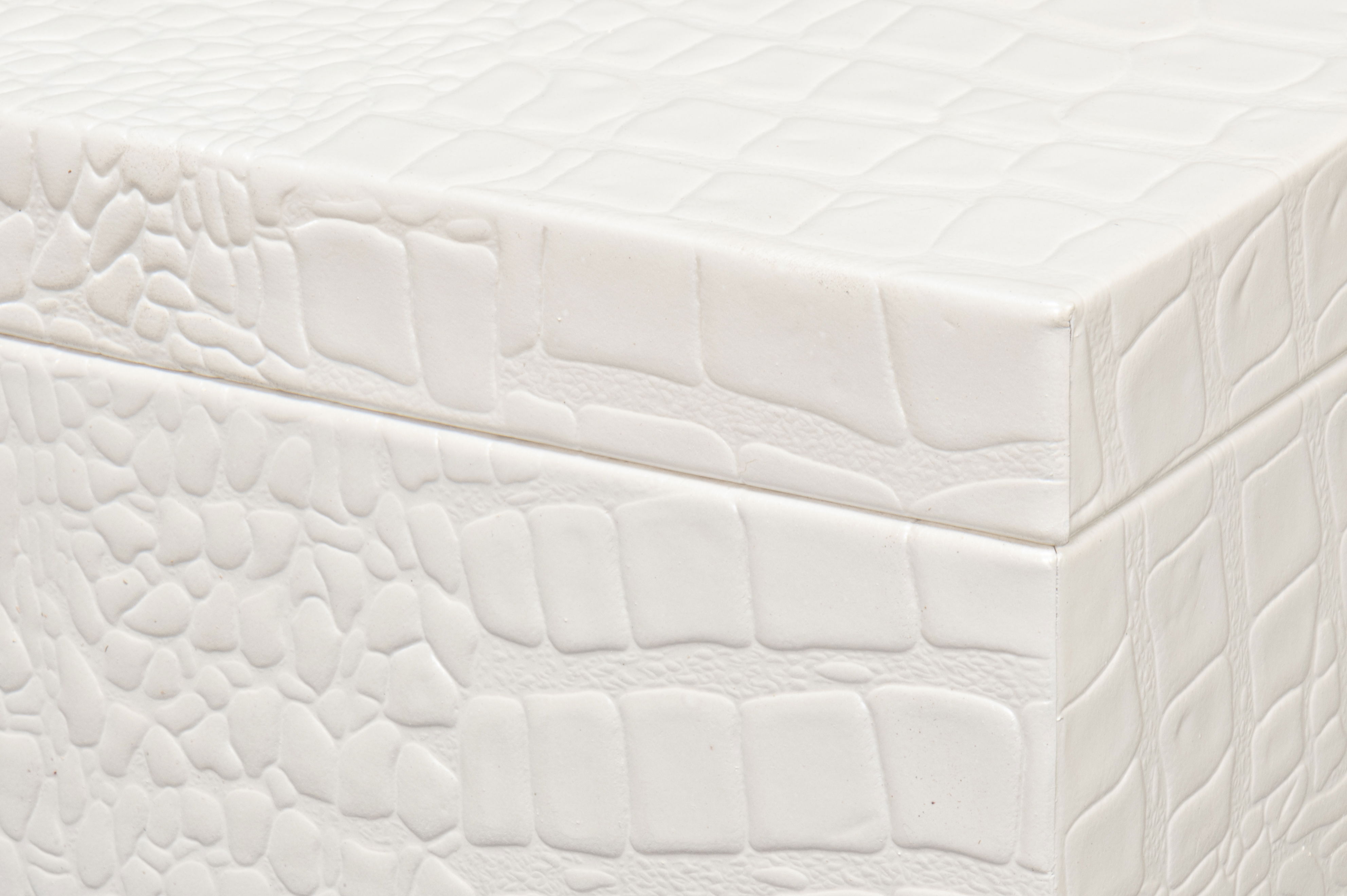 Candece Leather Box  Pearl  S/2 large image 