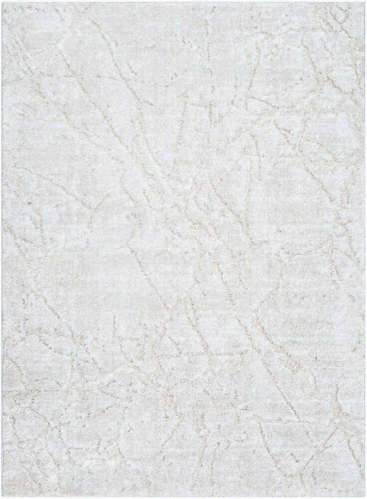 Andorra Plus Machine Woven Rug, by Surya, 1'3.75" length x 1'3.75" width