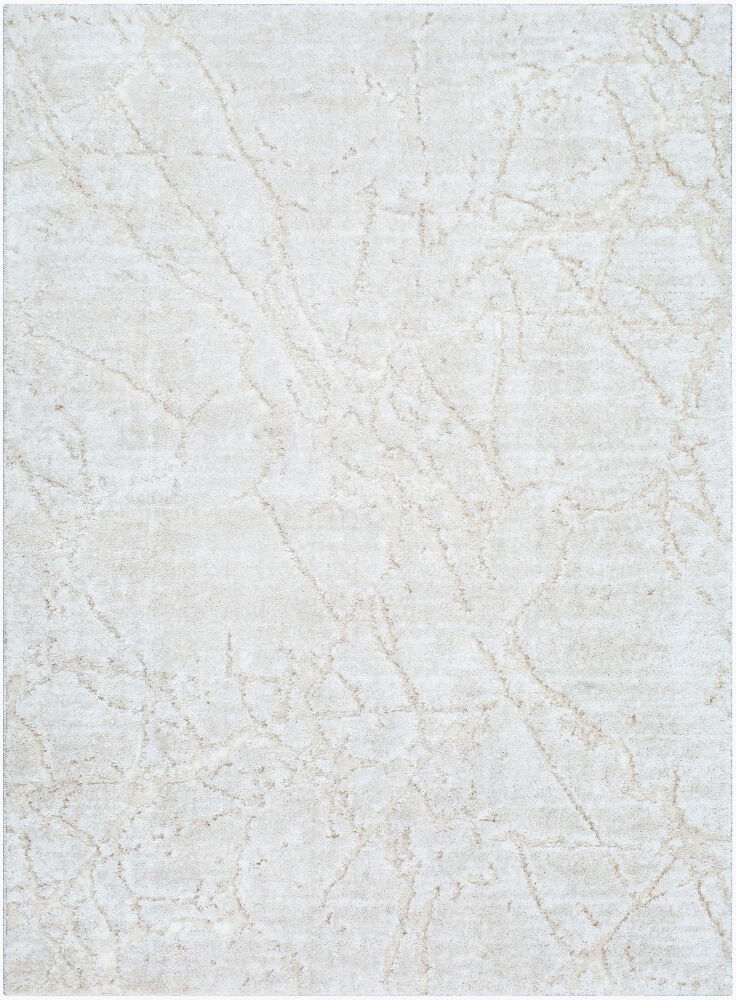 Andorra Plus Machine Woven Rug large image 