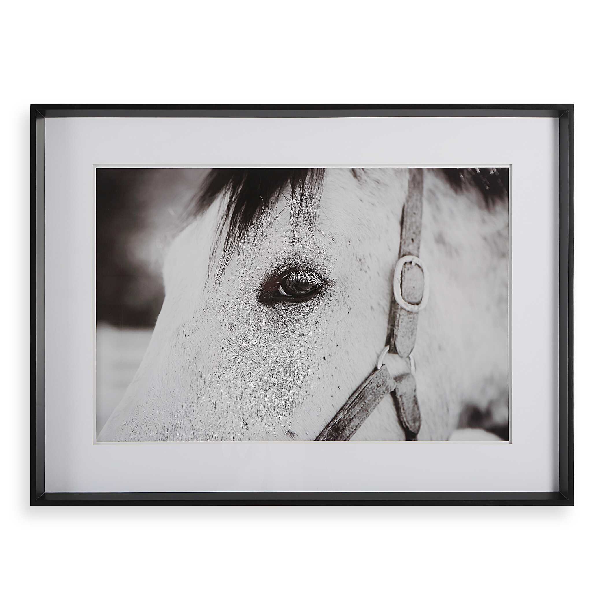 Eye Of The Beholder Framed Print large image 