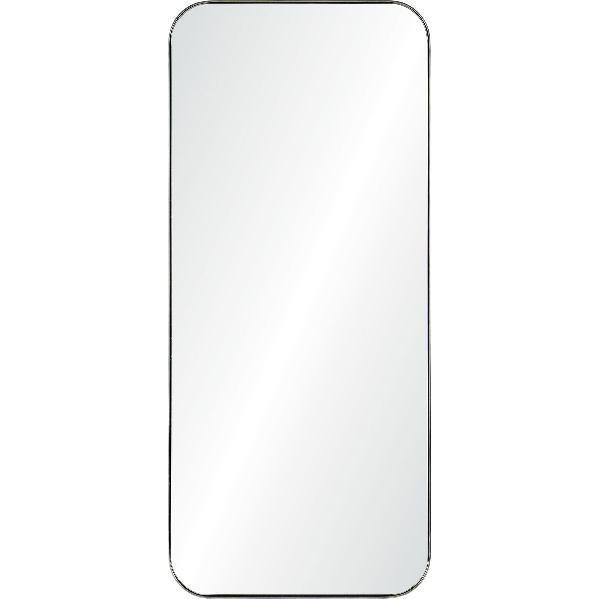 Delphinus Wall Mirror large image 