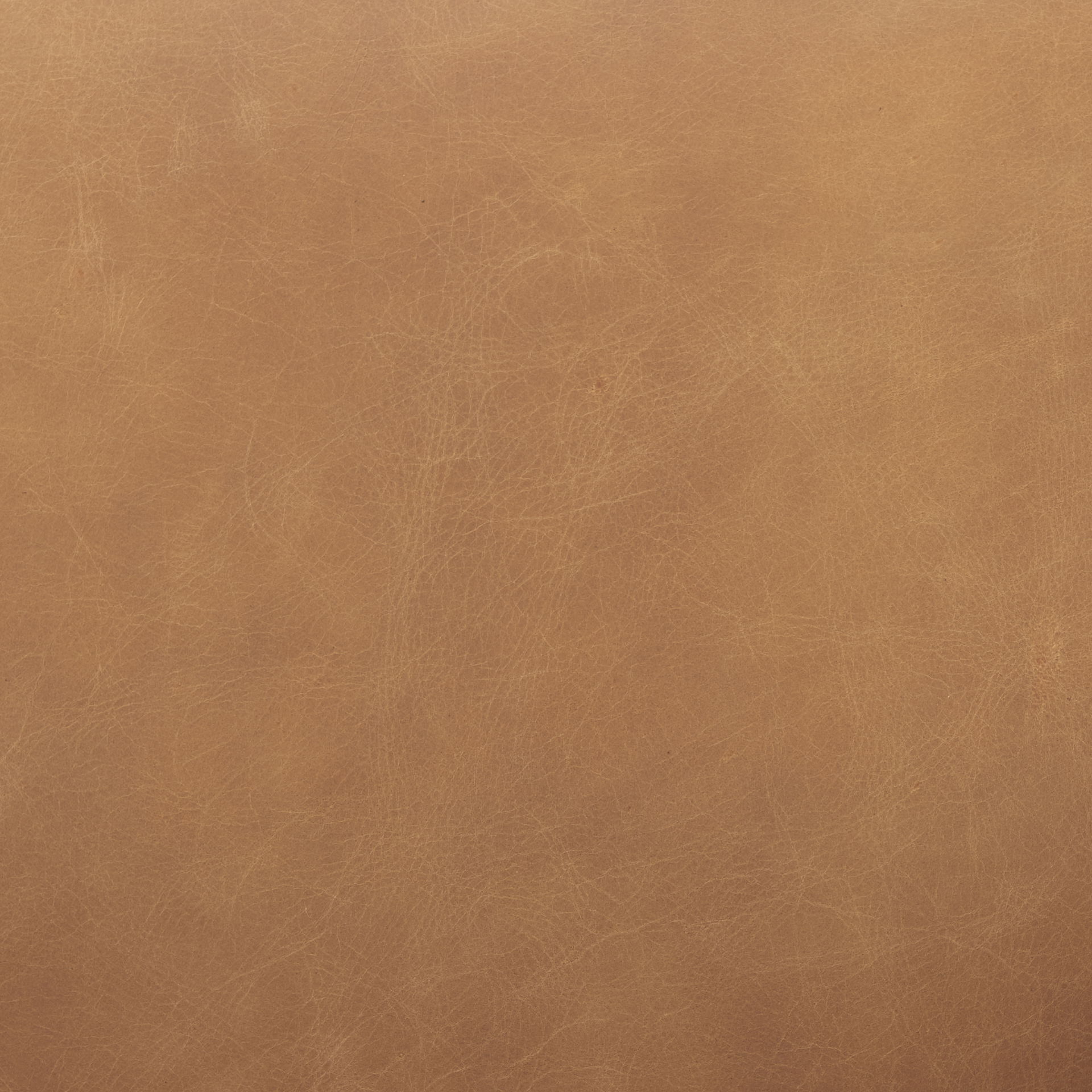 Ashton Brown Leather with Light Wood Accent Chair, by Mercana, 28.54" length x 29.72" width x 31.5" height View 2