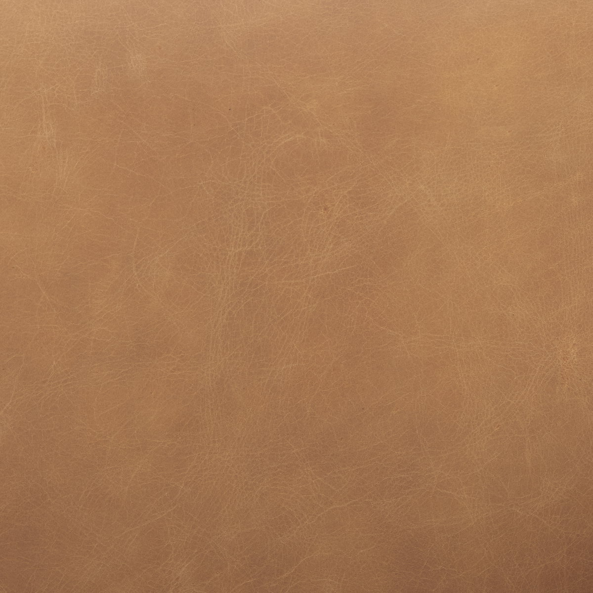 Ashton Brown Leather with Light Wood Accent Chair, by Mercana, 28.54" length x 29.72" width x 31.5" height View 3