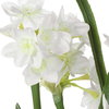 Lacey Daffodil Accent Arrangement, Artificial Plants & Flower by Uttermost, 17.25" width x 17" height x 13" depth thumbnail 3