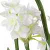 Lacey Daffodil Accent Arrangement, Decorative by Uttermost, 17.25" width x 17" height x 13" depth thumbnail 3