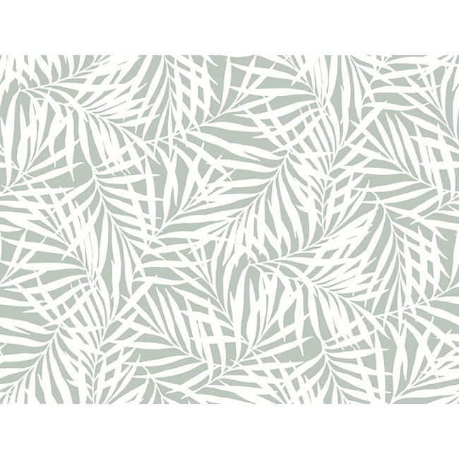 Oahu Fronds Light Green & White Wallpaper large image 