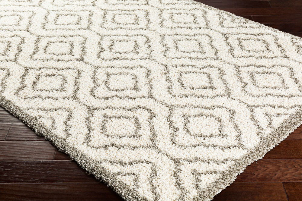 Serengeti Shag Machine Woven Rug large image 