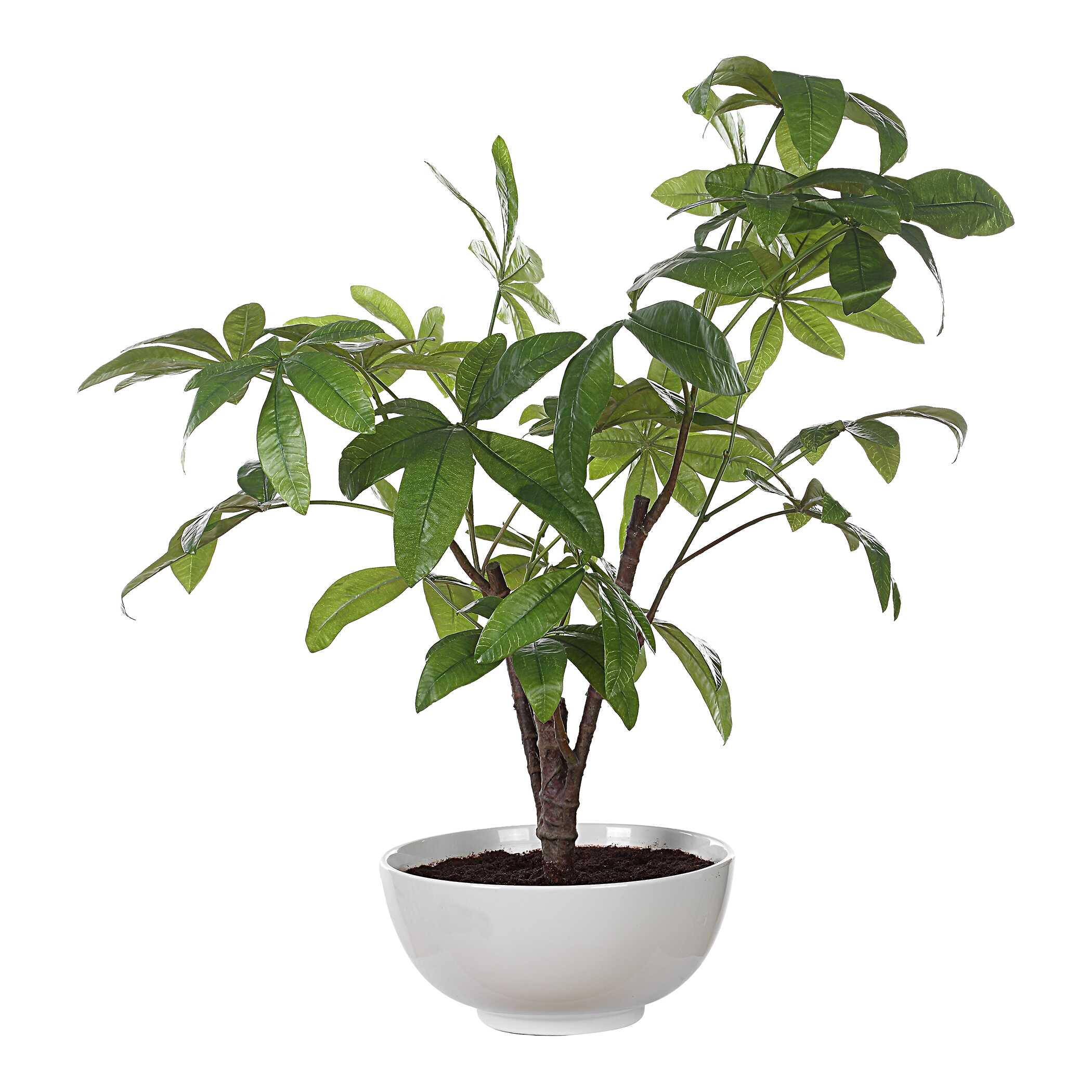 Pachira Money Tree, Decorative by Uttermost, 26.5" width x 34.5" height x 28.25" depth View 4