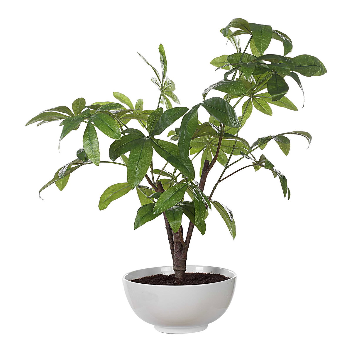 Pachira Money Tree, Decorative by Uttermost, 26.5" width x 34.5" height x 28.25" depth View 4