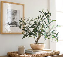 Online Designer Hallway/Entry Faux Potted Olive Houseplant