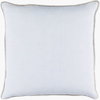 Sasha Accent Pillow, Decorative Pillow by Surya, 18" length x 18" width thumbnail