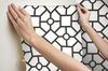 Hedgerow Trellis Black & Gold Peel & Stick Wallpaper thumbnail 6