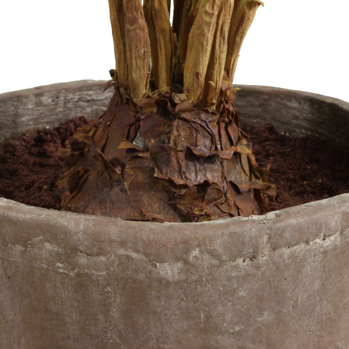 Zamia Palm Accent In Planter, by Uttermost, 43" width x 57.75" height x 43" depth View 5