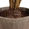Zamia Palm Accent In Planter, by Uttermost, 43" width x 57.75" height x 43" depth thumbnail 5