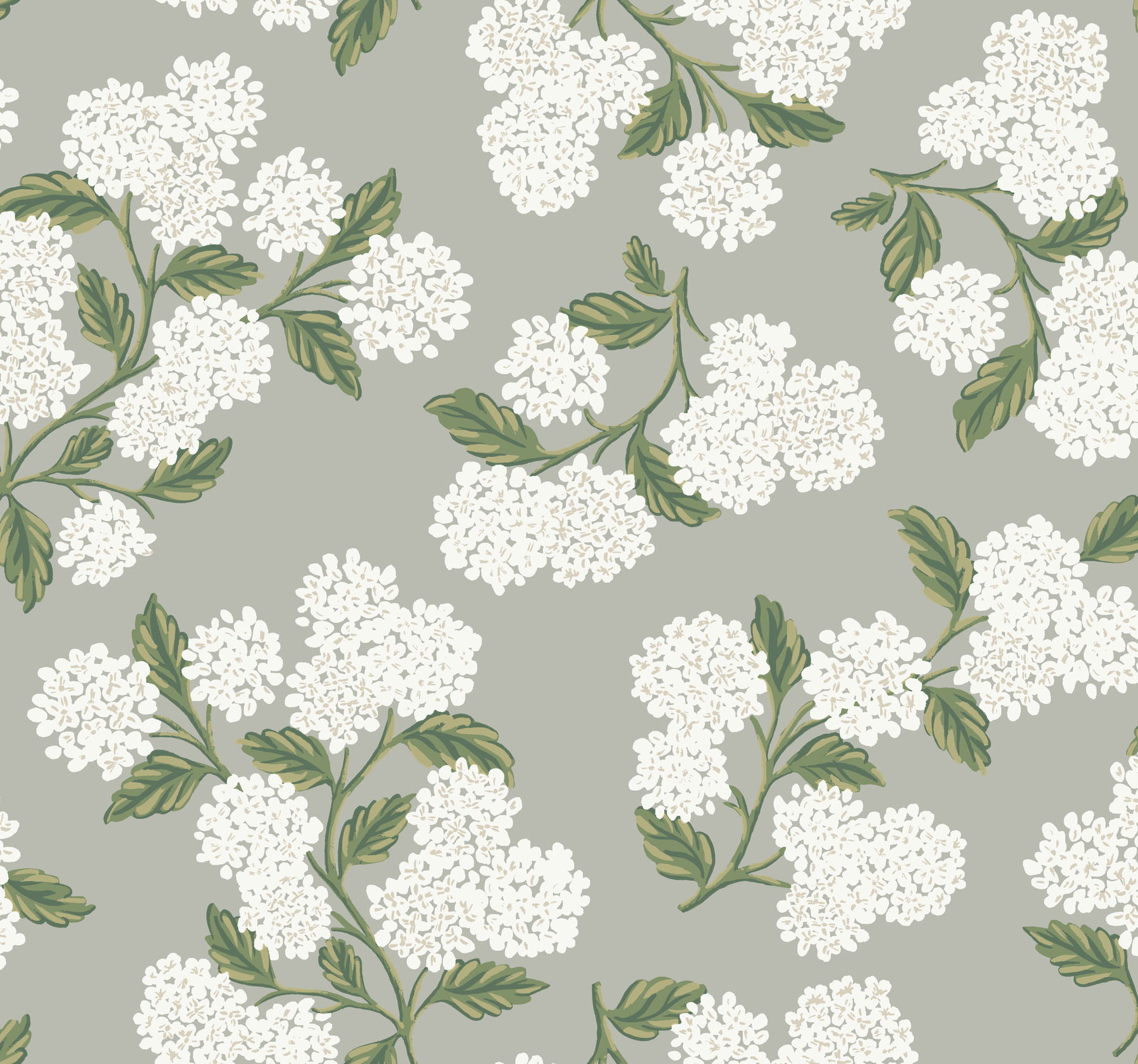 Hydrangea Grey Wallpaper large image 
