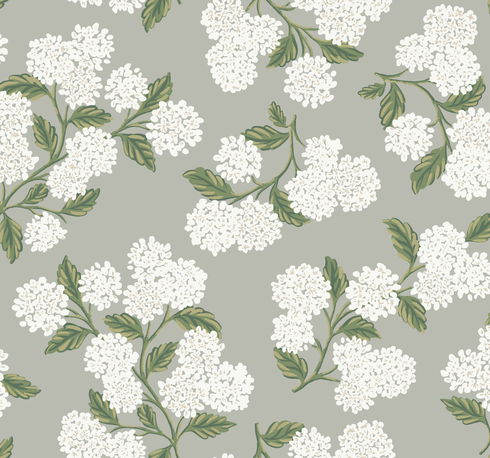 Hydrangea Grey Wallpaper