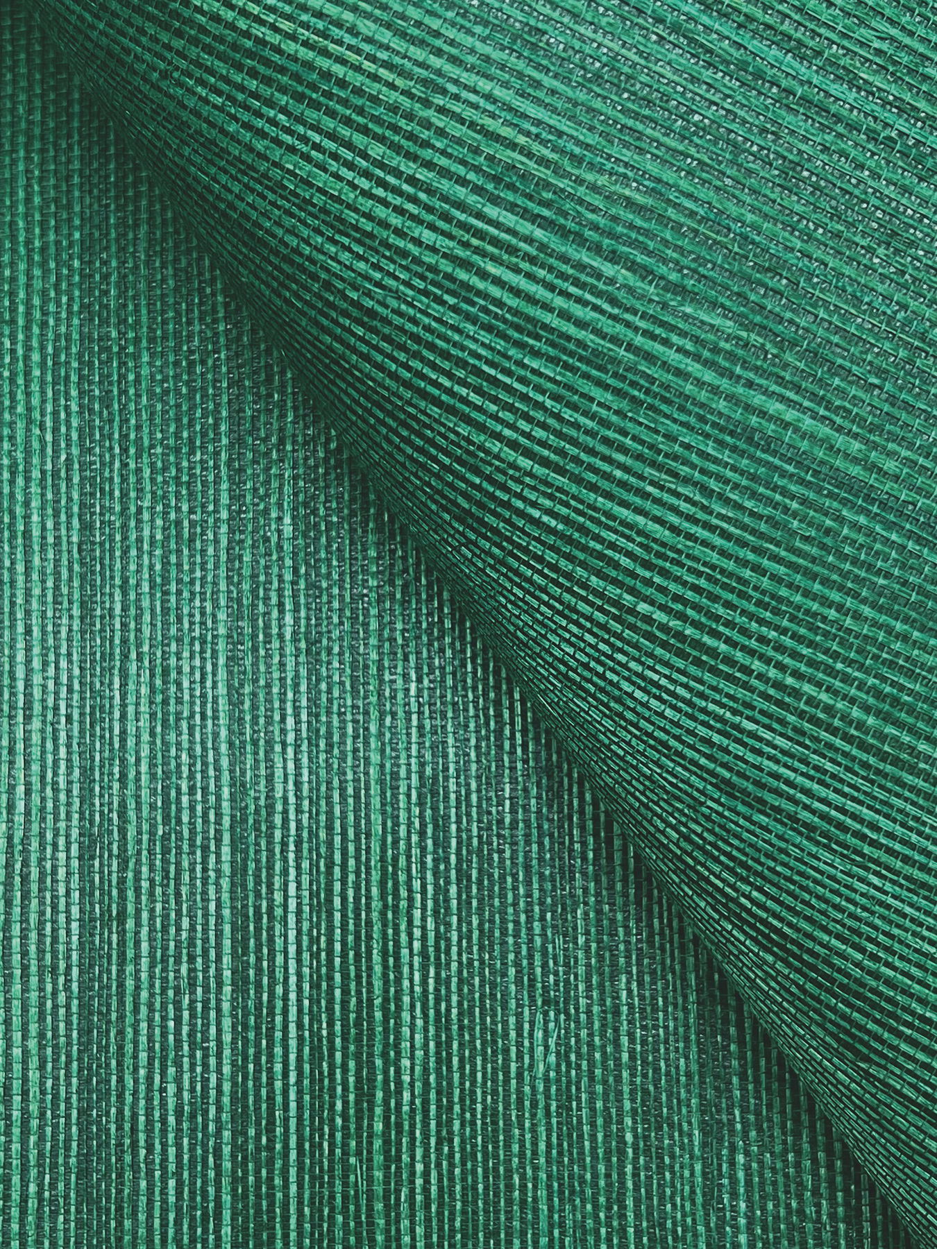 Maguey Sisal Jade Wallpaper large image 