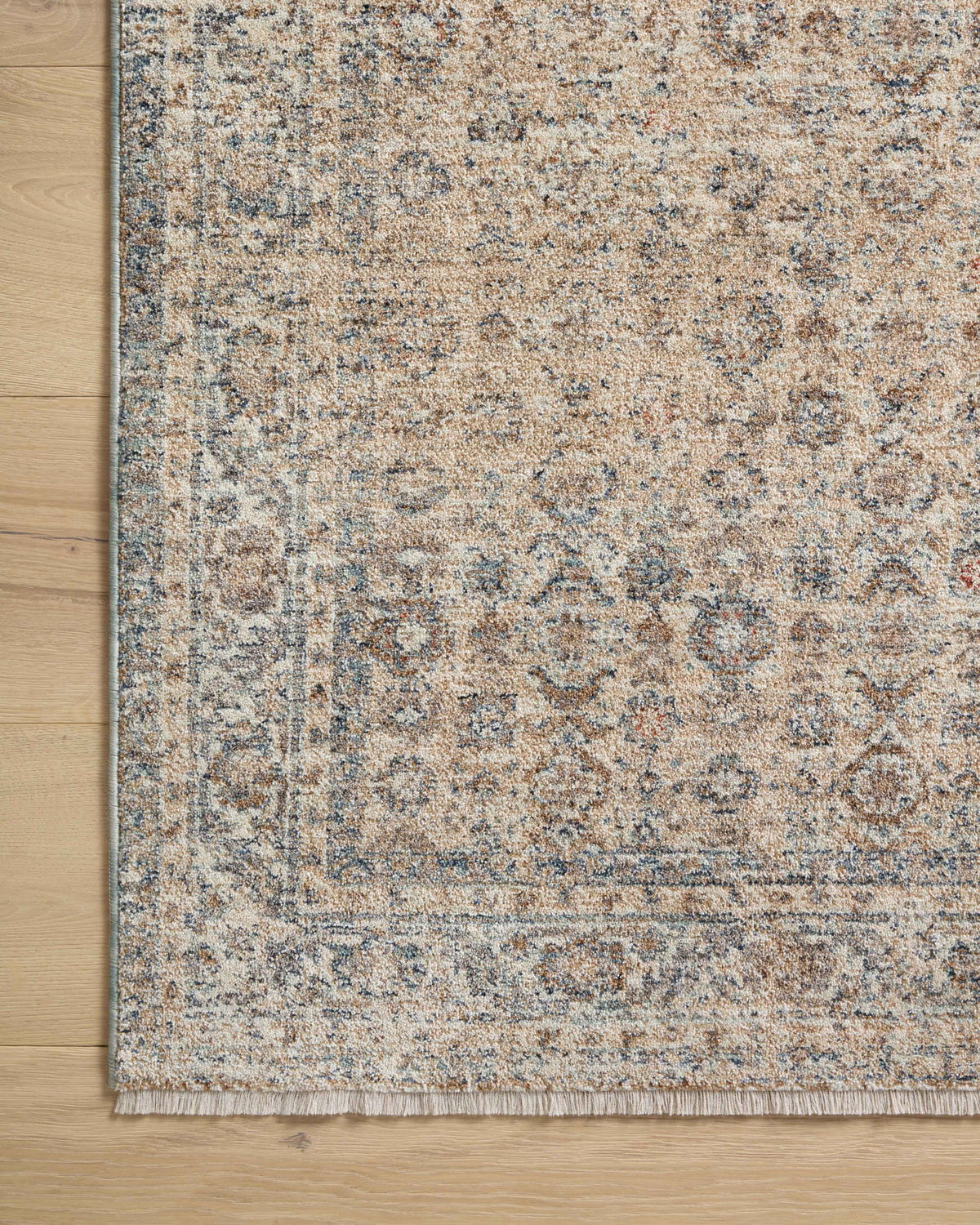 Angela Rose x Loloi Blake Rug, 5'3" length x 5'3" width View 8