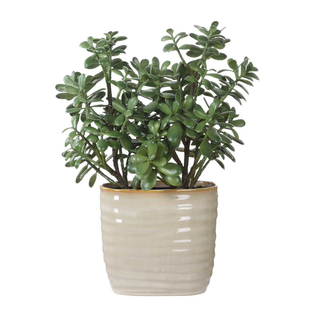 Crassula Jade Accent Plant, Artificial Plants & Flower by Uttermost, 18" width x 23.5" height x 13.75" depth View 5