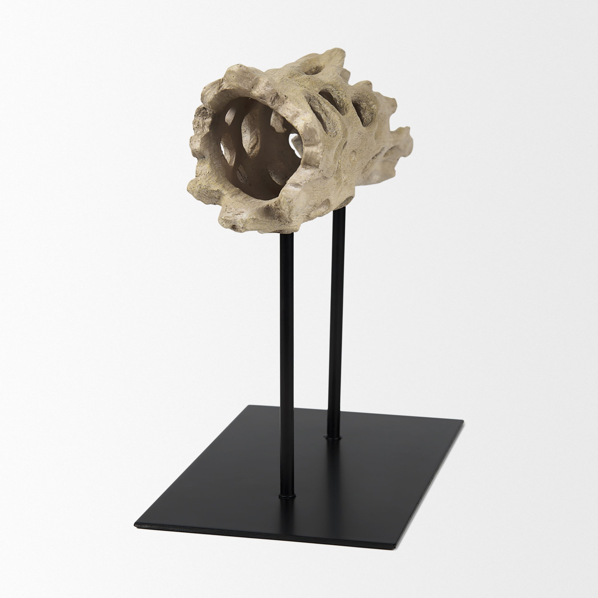 Dwell Cholla Wood Resin Decorative Object, by Mercana, 11.69" length x 5.91" width x 10.43" height View 8