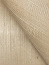 Maguey Sisal Dove Wallpaper, by York Wall, 24' length x 3' width x 0.02" depth thumbnail 3